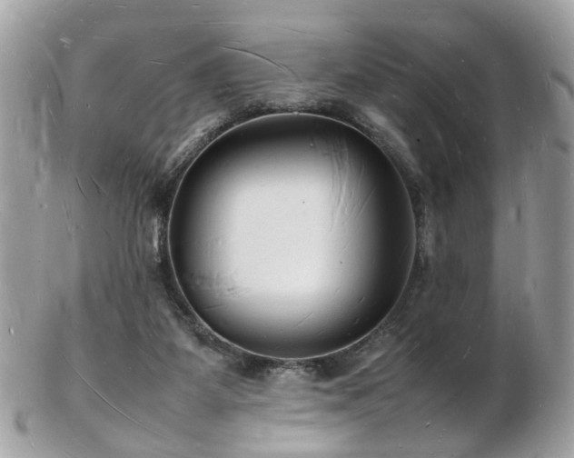 X0000103290115200808291342