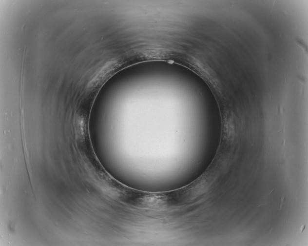 X0000103290117200808291342