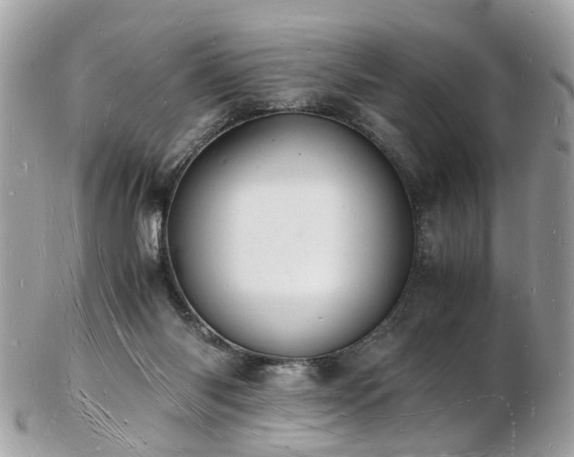 X0000103290118200808291342