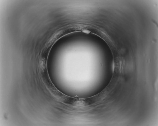 X0000103290119200808291342