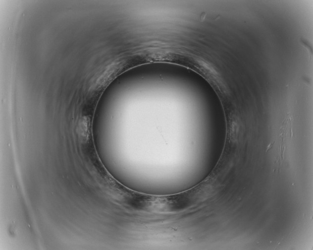 X0000103290121200808291342