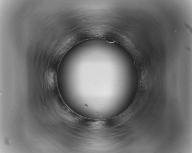 X0000103290122200808291342