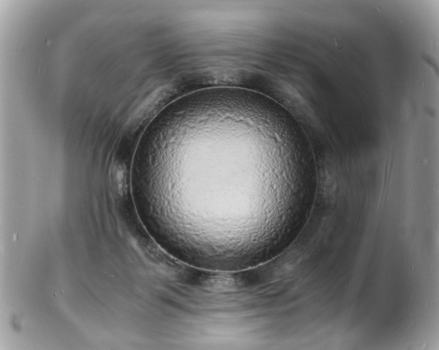 X0000103290123200808291342