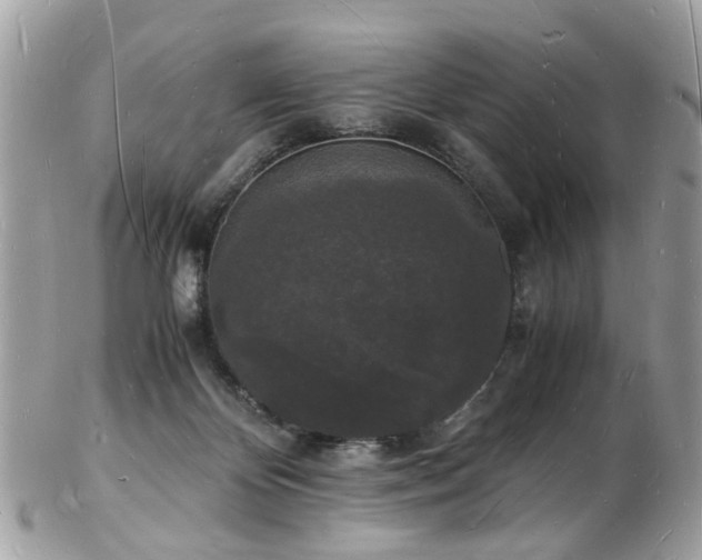 X0000103290124200808291342