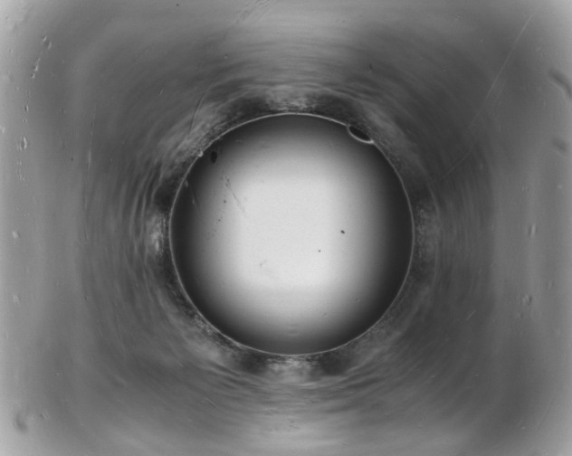 X0000103290125200808291342