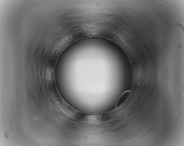 X0000103290126200808291342