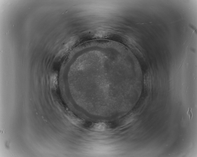 X0000103290127200808291342