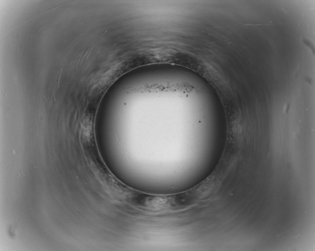 X0000103290129200808291342