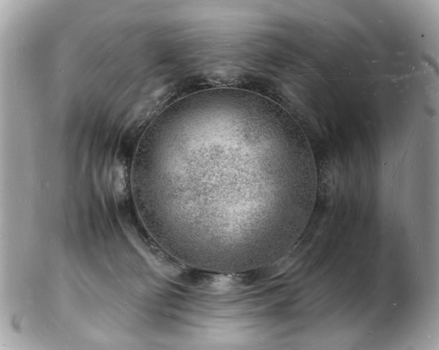 X0000103290130200808291342