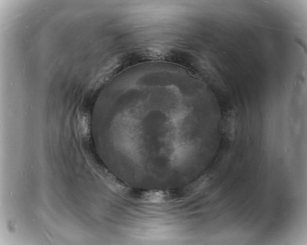 X0000103290131200808291342