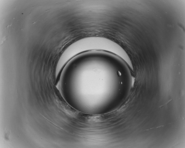 X0000103290132200808291342