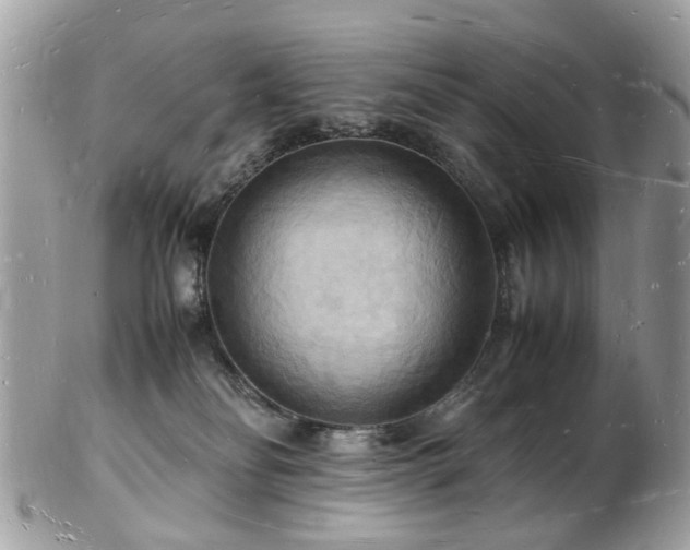 X0000103290134200808291341