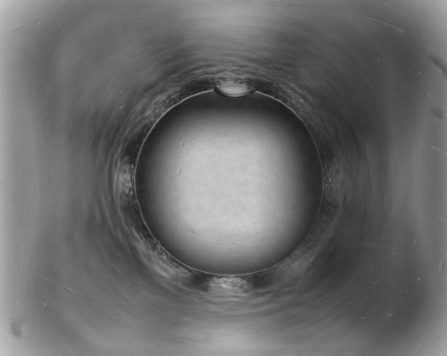 X0000103290137200808291341