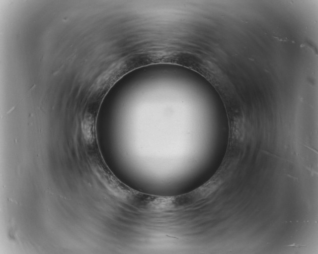 X0000103290138200808291341