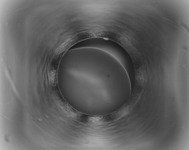 X0000103290139200808291341