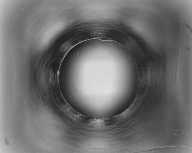 X0000103290140200808291341