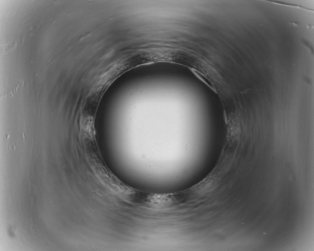 X0000103290141200808291341