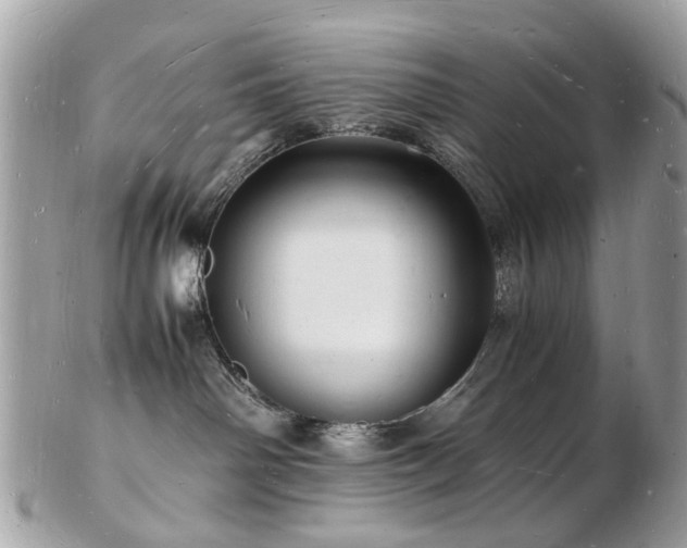 X0000103290142200808291341