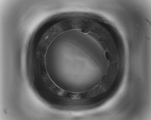 X0000103290143200808291341