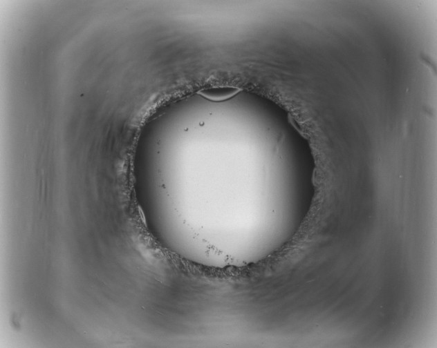 X0000103290144200808291341