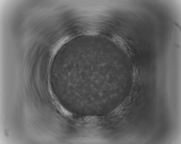 X0000103290145200808291341