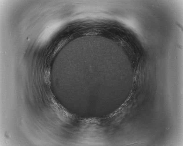 X0000103290146200808291341