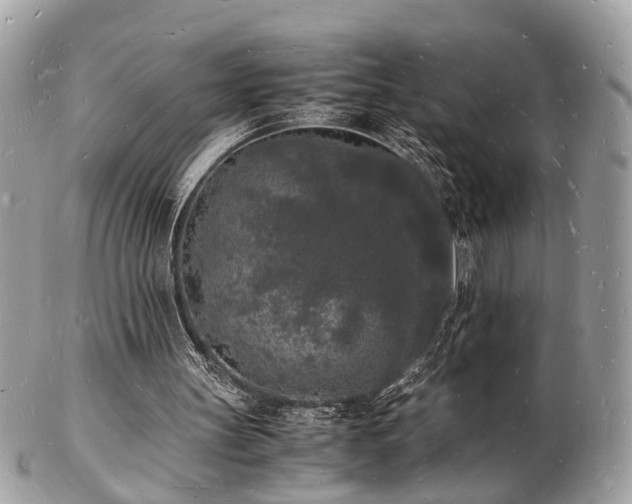 X0000103290147200808291341