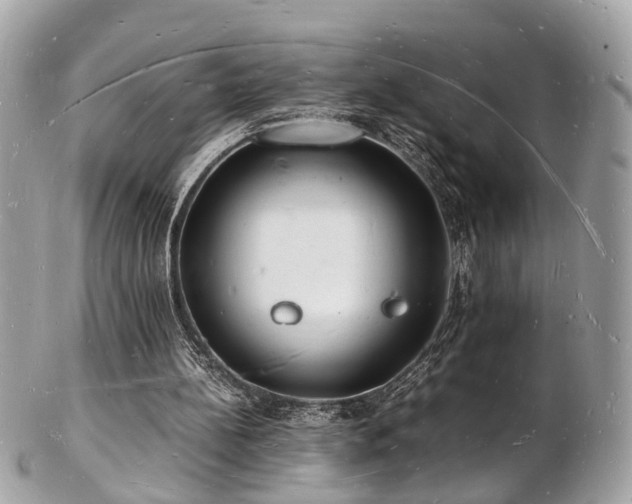 X0000103290148200808291341