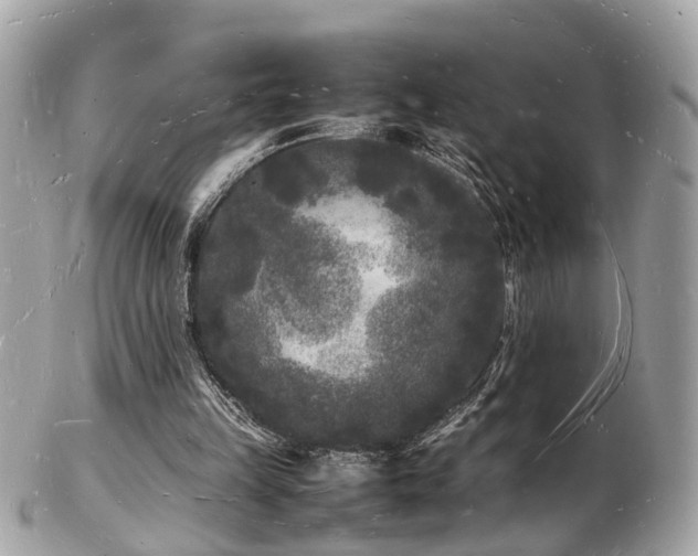 X0000103290149200808291341