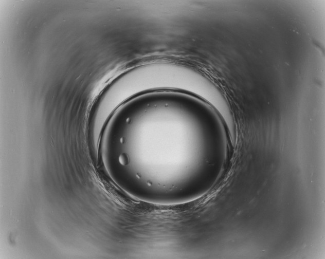 X0000103290150200808291341