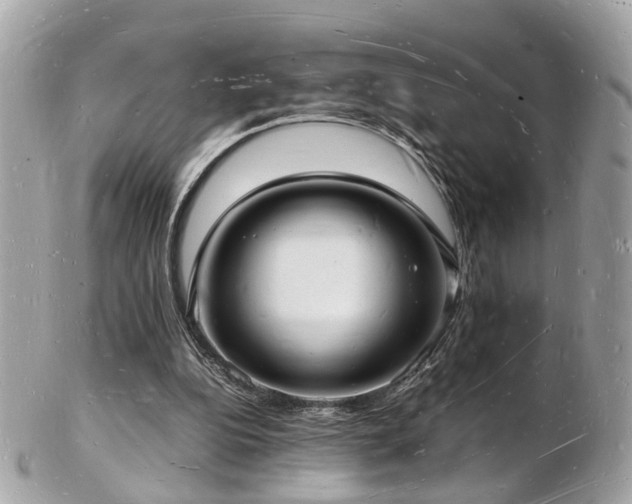 X0000103290152200808291341