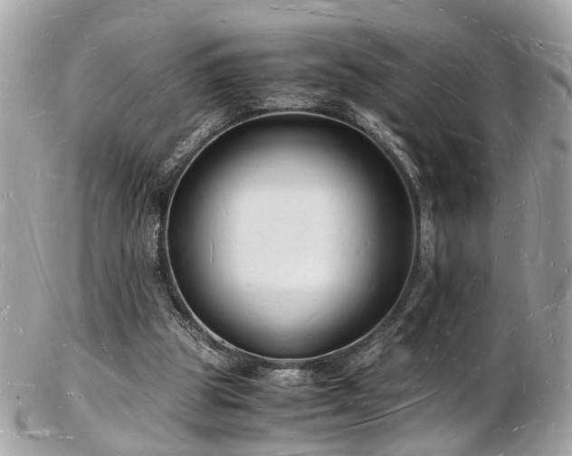 X0000103290153200808291341