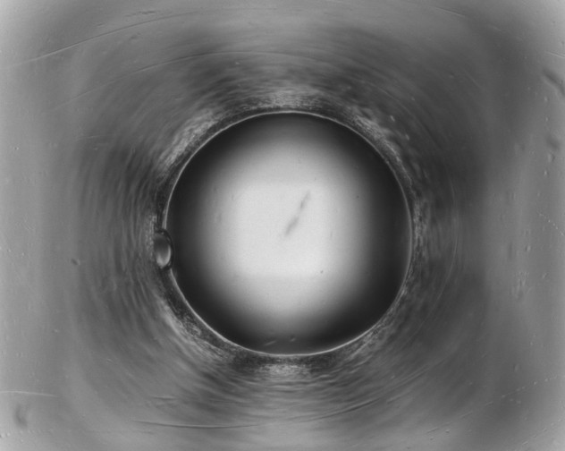 X0000103290154200808291341