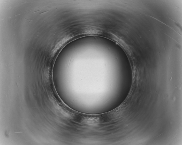 X0000103290155200808291341