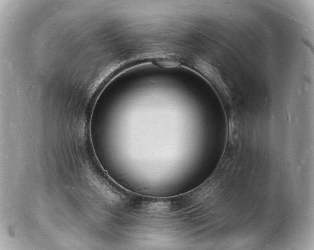 X0000103290156200808291341