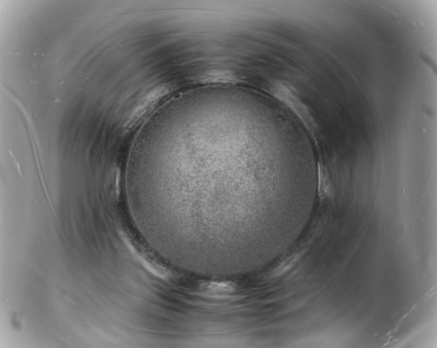 X0000103290157200808291341