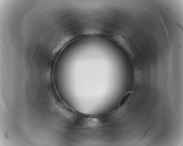 X0000103290159200808291341