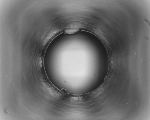 X0000103290160200808291341