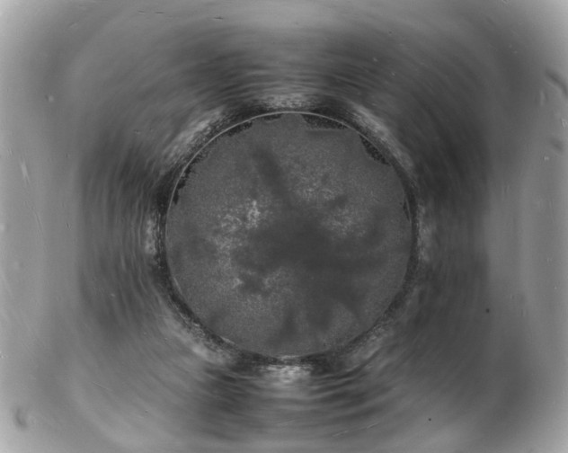 X0000103290161200808291341