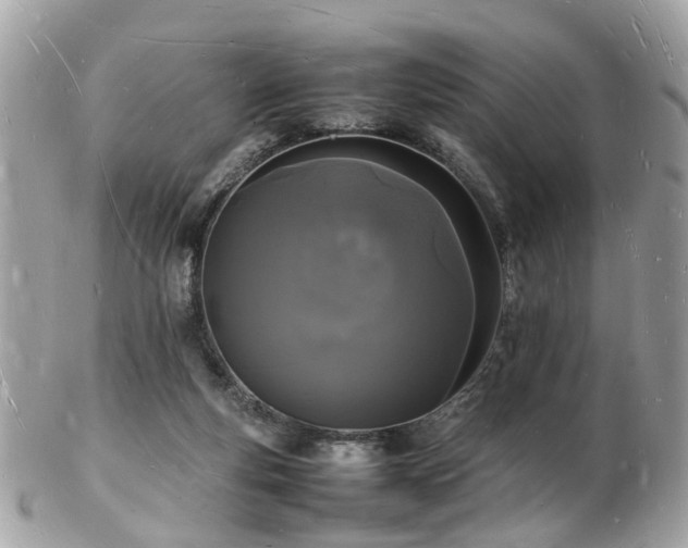 X0000103290163200808291341