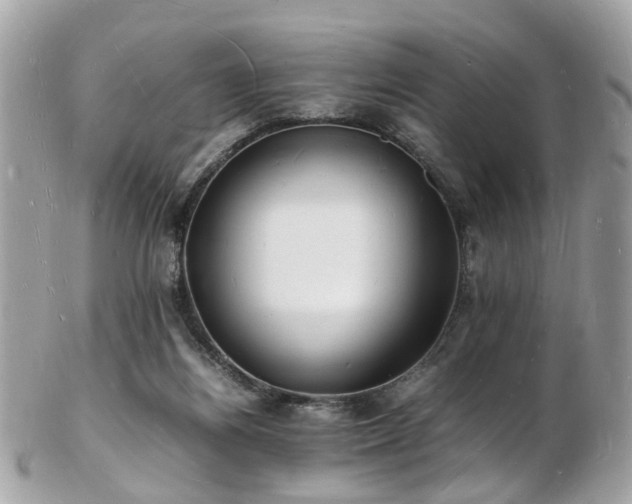 X0000103290164200808291341