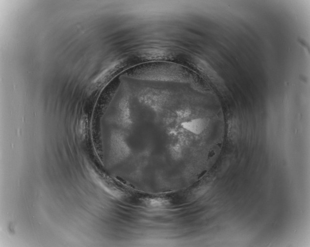 X0000103290165200808291341