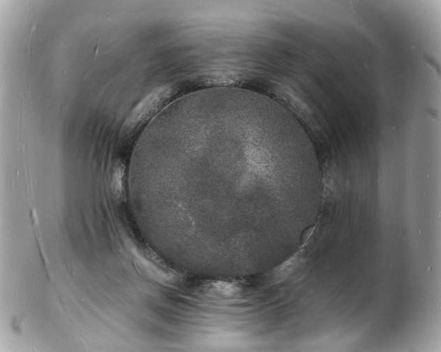 X0000103290166200808291341