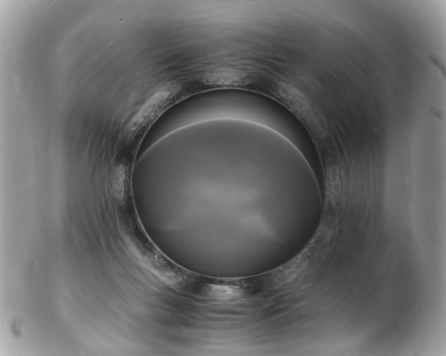 X0000103290167200808291341