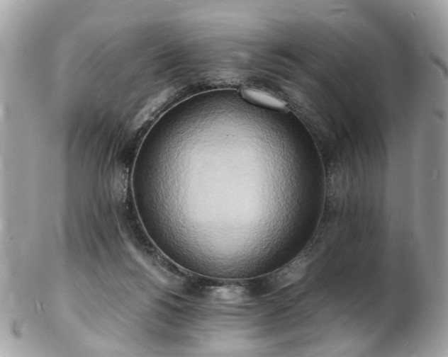 X0000103290168200808291341