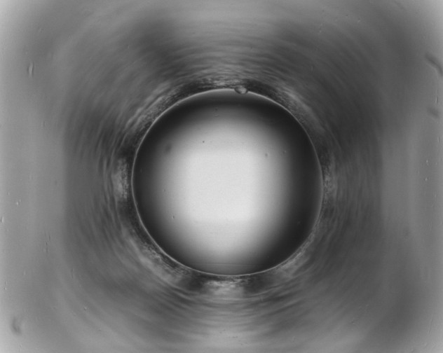 X0000103290170200808291341