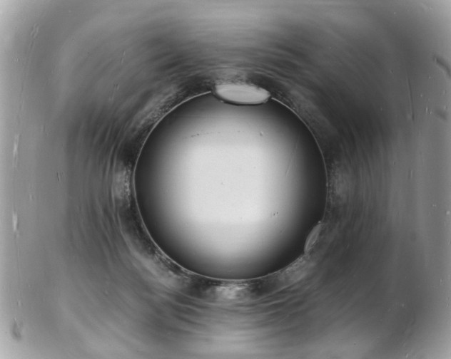 X0000103290172200808291341