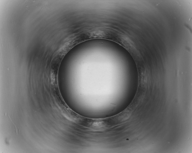 X0000103290173200808291341