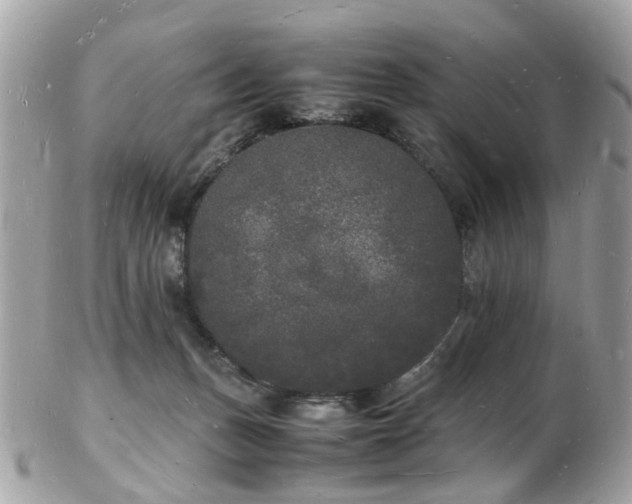 X0000103290175200808291341