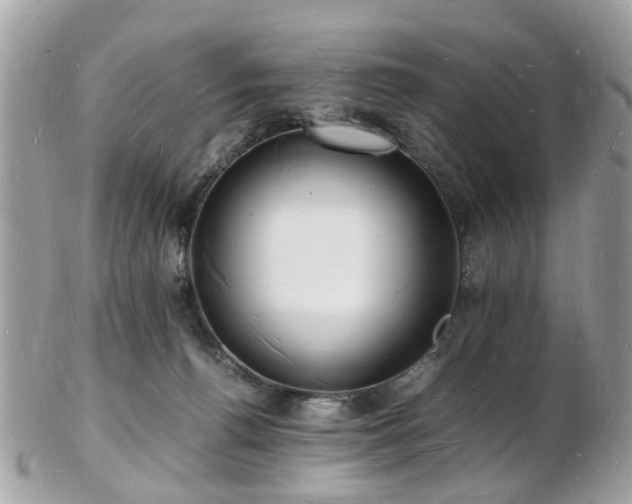 X0000103290176200808291341